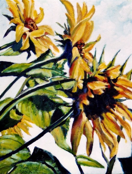 sunflowers[1].jpg